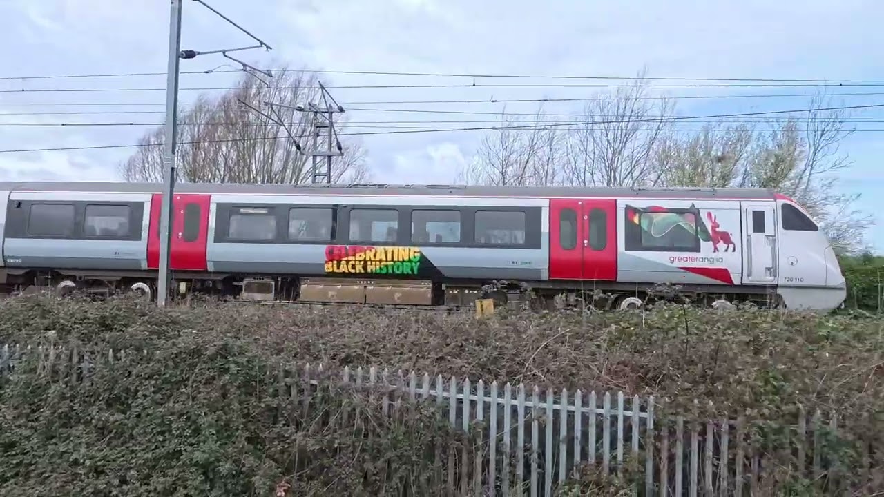 Spotting at the River Cam 'Chrissindom footbridge' on 23.02.2026