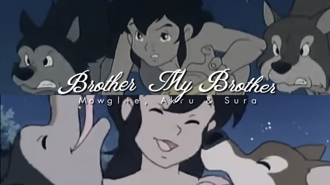 [AMV] Mowglie, Akru & Sura || Brother my Brother