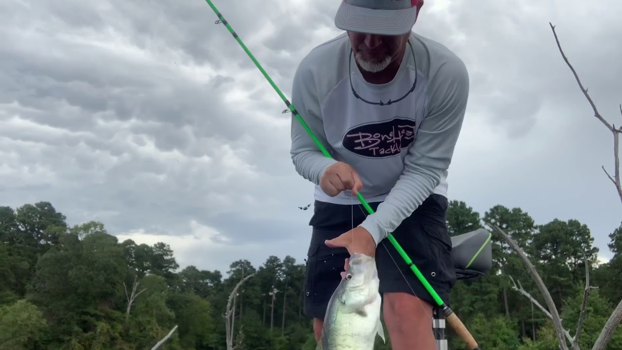 Crappie Baits - BoneHead Tackle