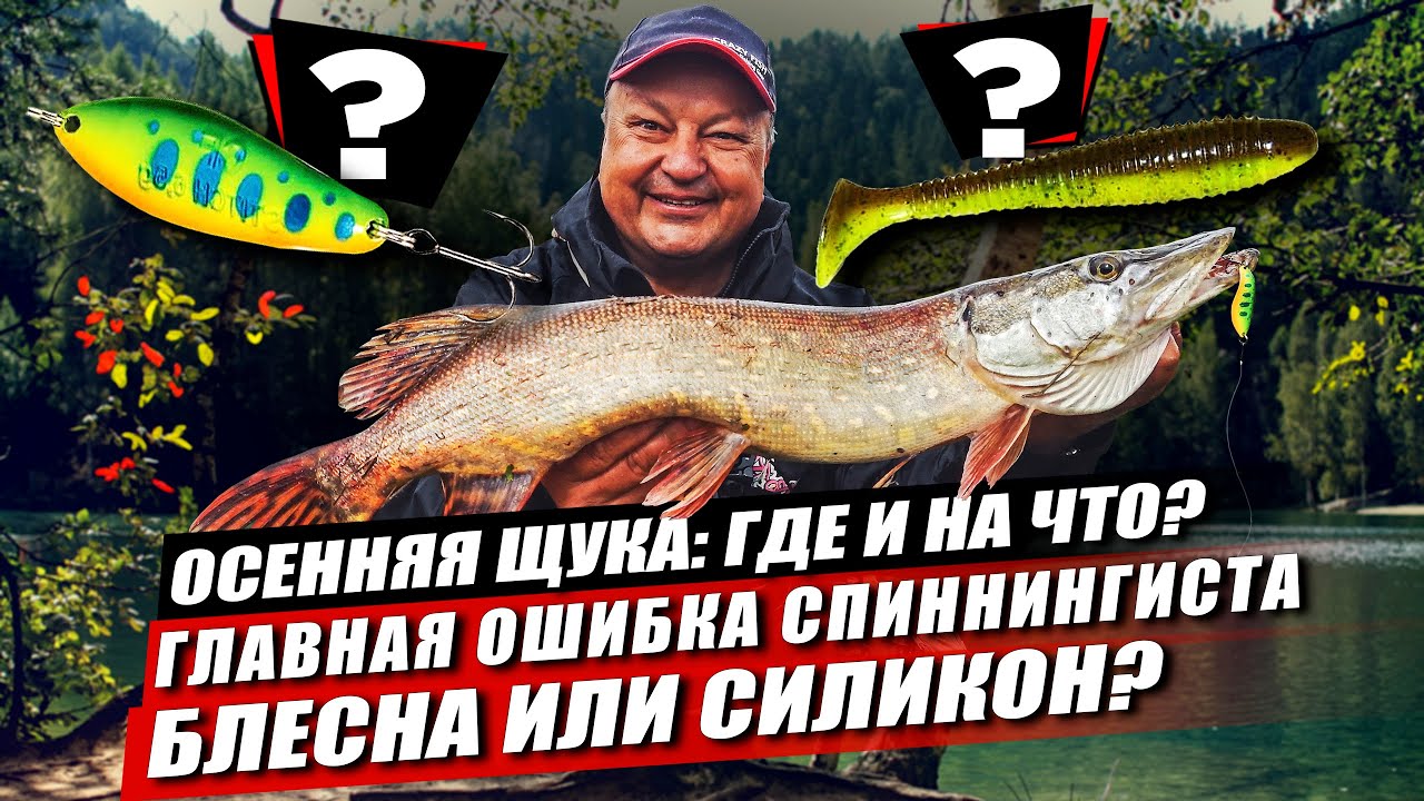Щука осенью: где и на что? Какая главная ошибка спиннингиста? Блесна или силикон: что эффективнее?
