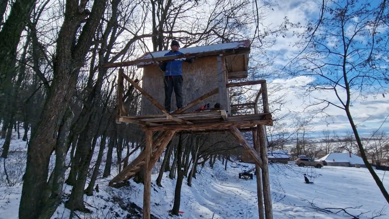 Facem modificări la Căsuța din Copac!