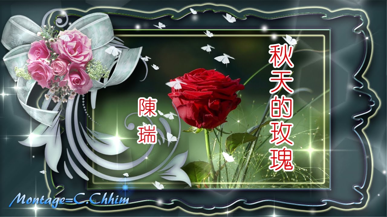 秋天的玫瑰  陳瑞 演唱