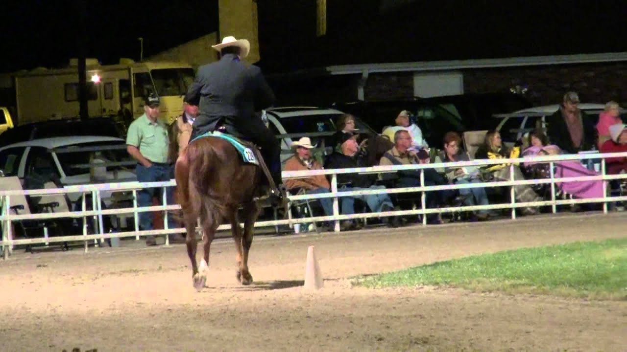 Ava 2012 Missouri Foxtrotter 4 Years Open World Grand Championship