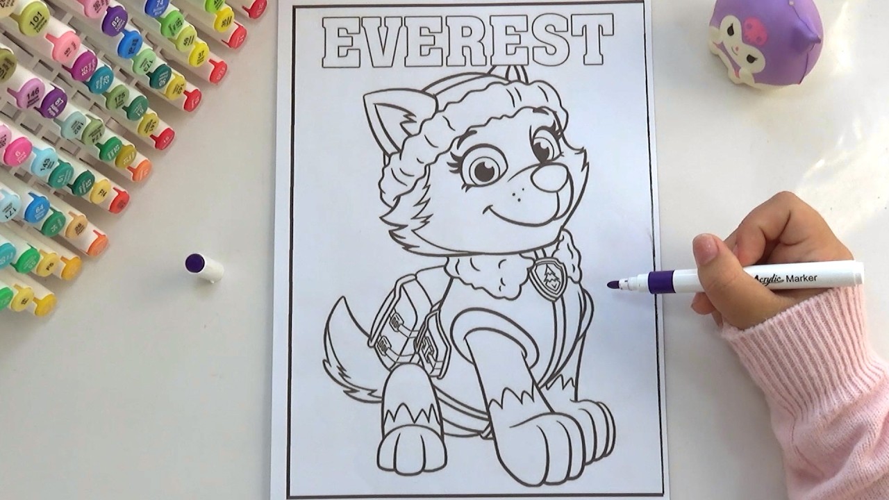 PAW Patrol Coloring Book: How to Color Everest Step by Step 🐾🐾