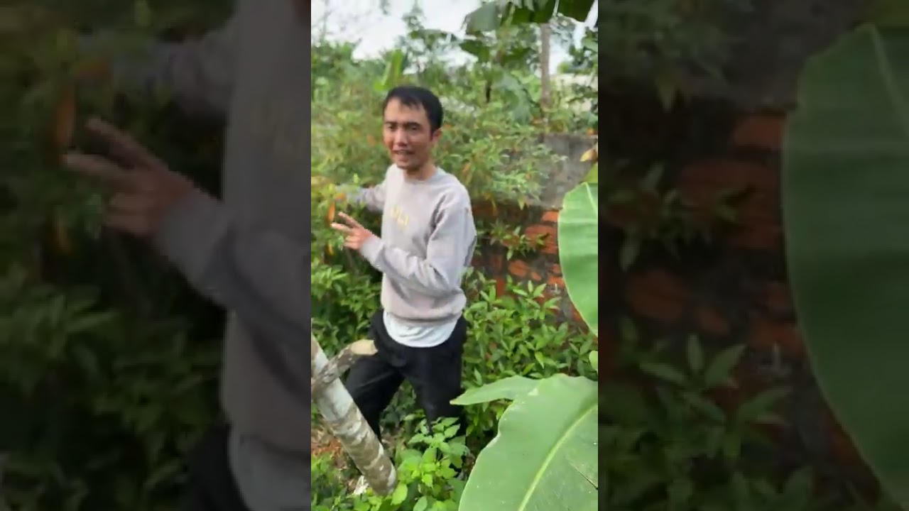 Khu vườn tuổi thơ của Tôn Phi, o Trần Thị Lam và dượng Nguyễn Đình Thảo:
