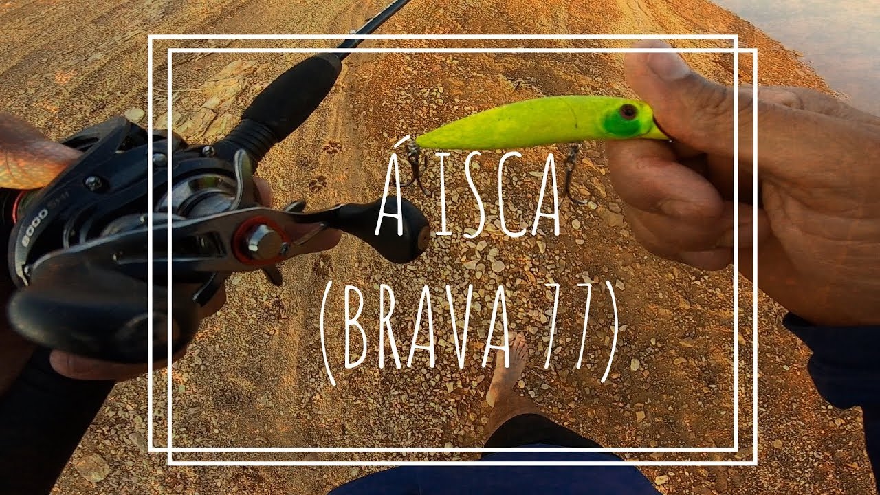 ISCA BRAVA 77 SEM CORTES EM TR&Ecirc;S MARIAS MG SETEMBRO DE 2019