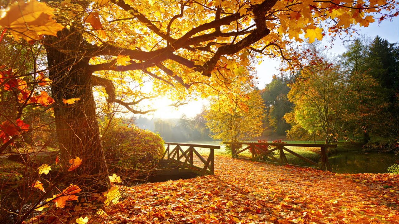 3 Pretty Places to Go Leaf Peeping Across America