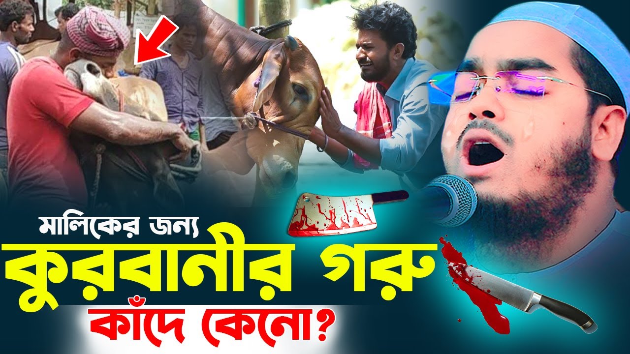 কুরবানীর ওয়াজ,কুরবানীর গরু কান্না করে কেনো,হাফিজুর রহমান সিদ্দিকী কুয়াকাটা,hafizur rahman siddiki