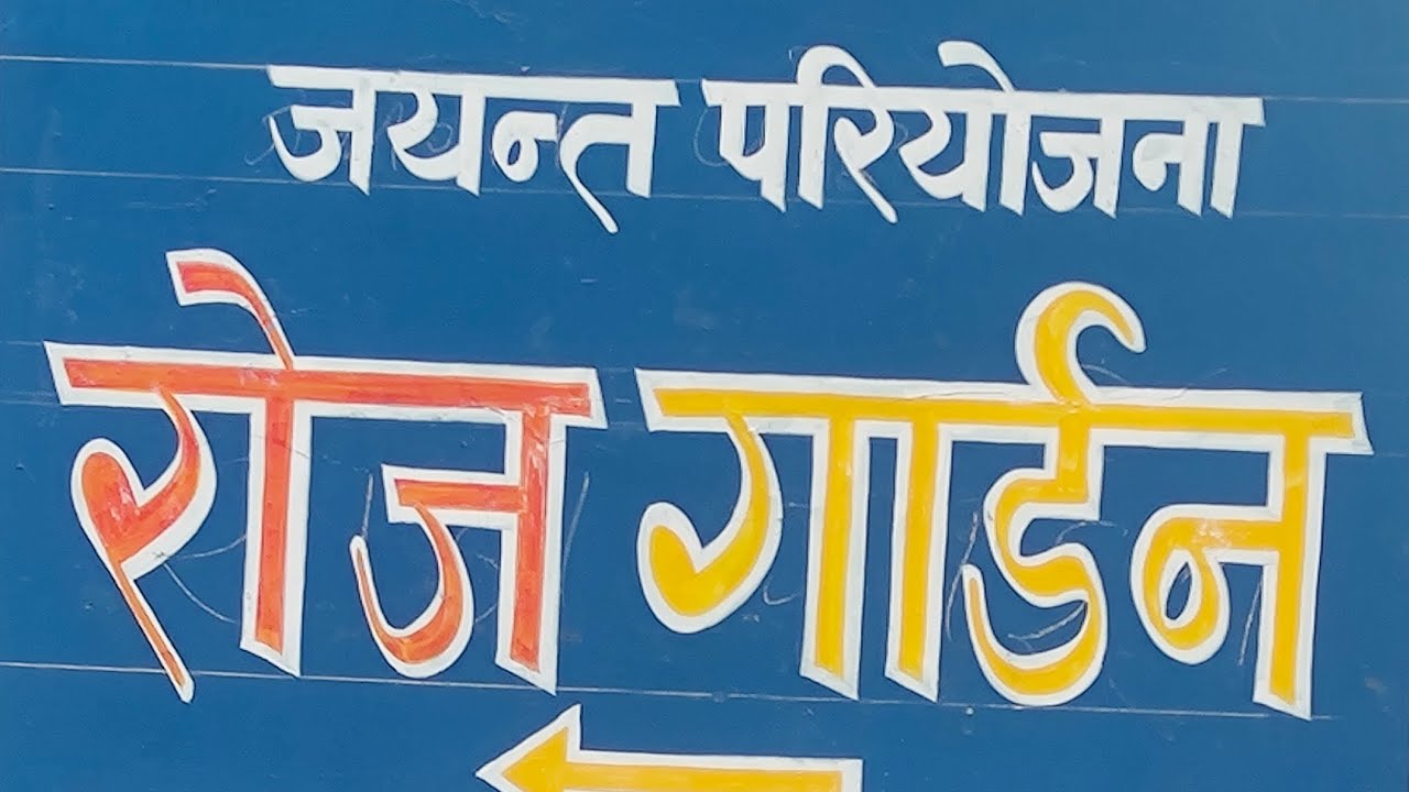 Singrauli Madhya Pradesh ... Jayant Rose 🌹 garden,    Likes, comment and share, subscribe 