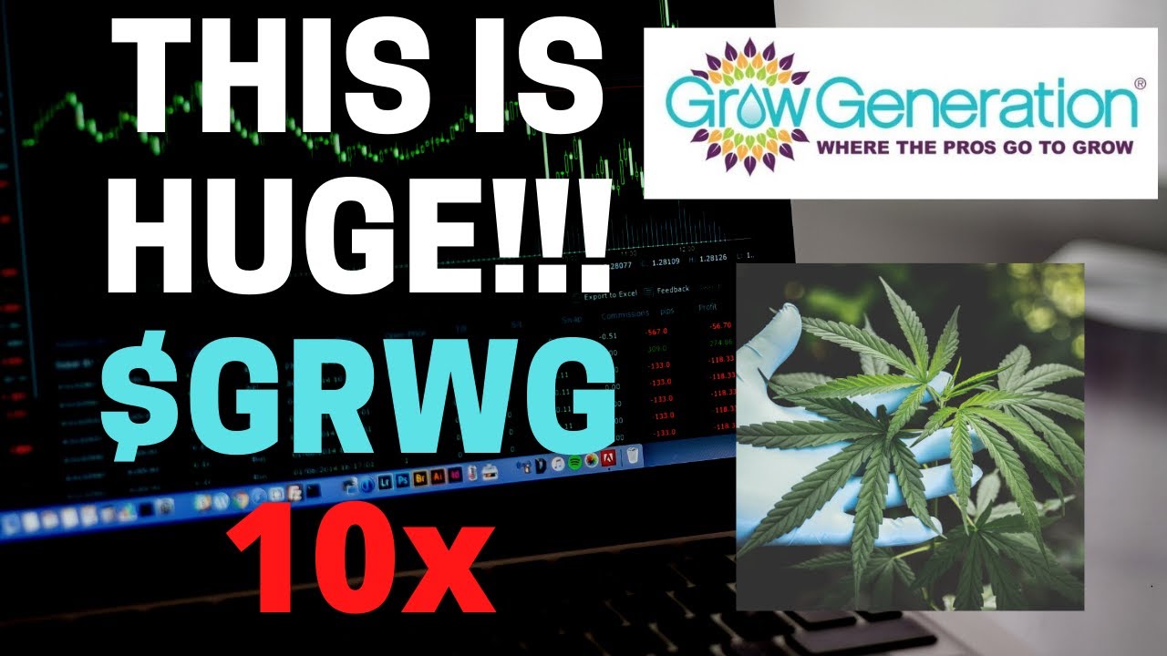Grow Generation Stock Price Prediction and Analysis! - Why GRWG is the Best Cannabis Stock!!