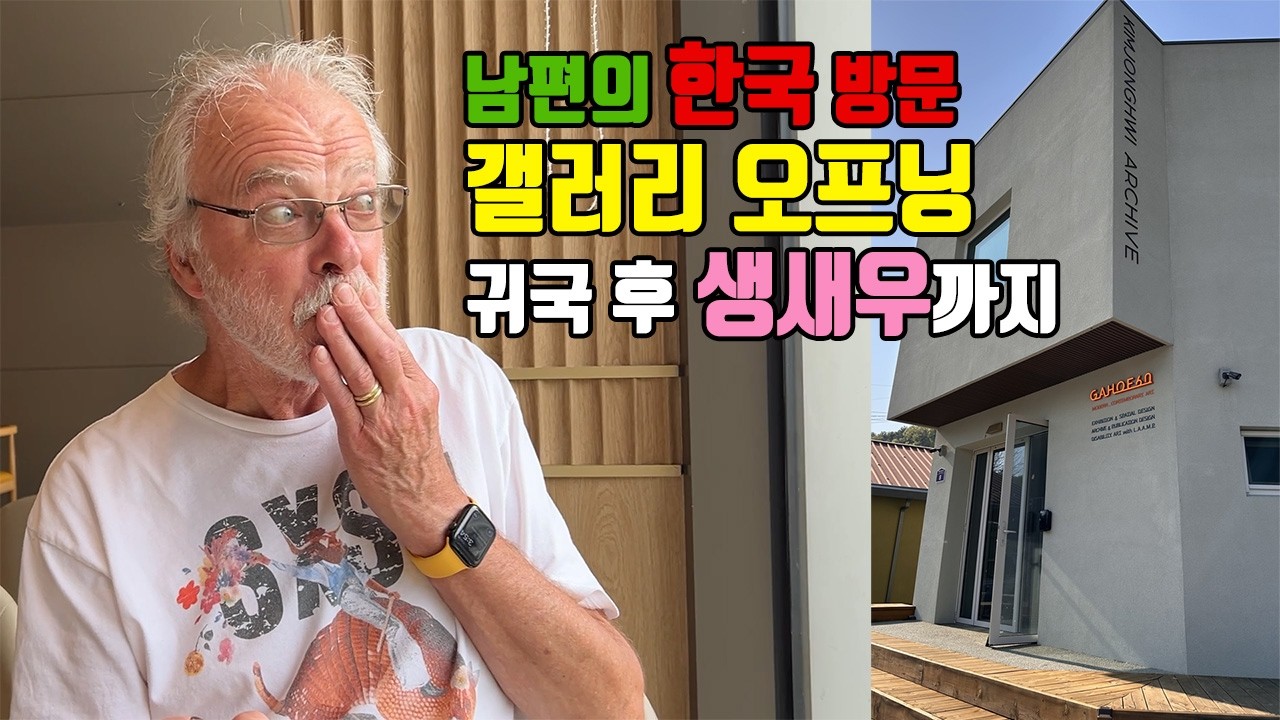 남편의 한국방문, 김종휘작품전, 집으로 귀가
