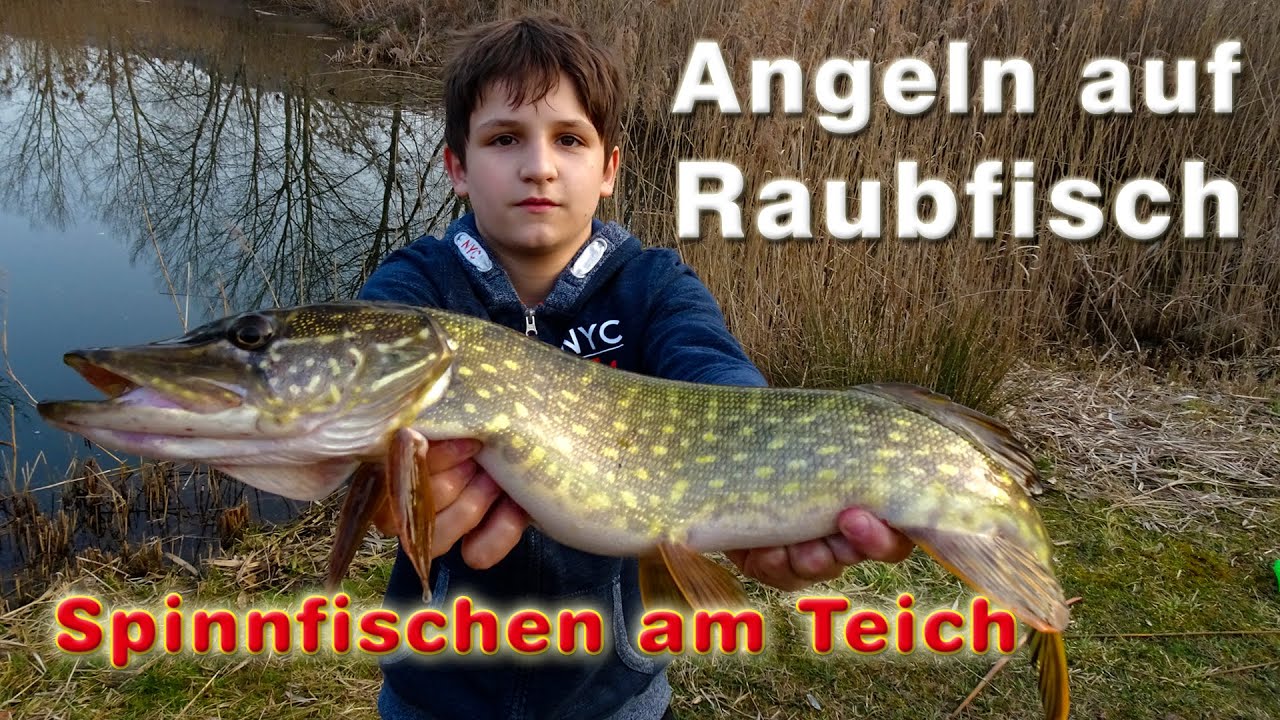 Angeln auf Raubfisch - Spinnfischen am Teich - Hechtangeln