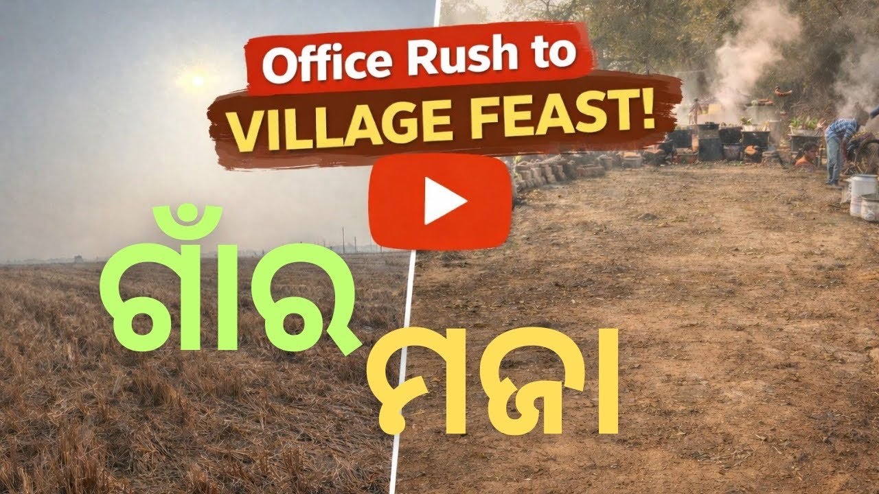 Office to Village Feast | Peace in the Rice Fields 🌾