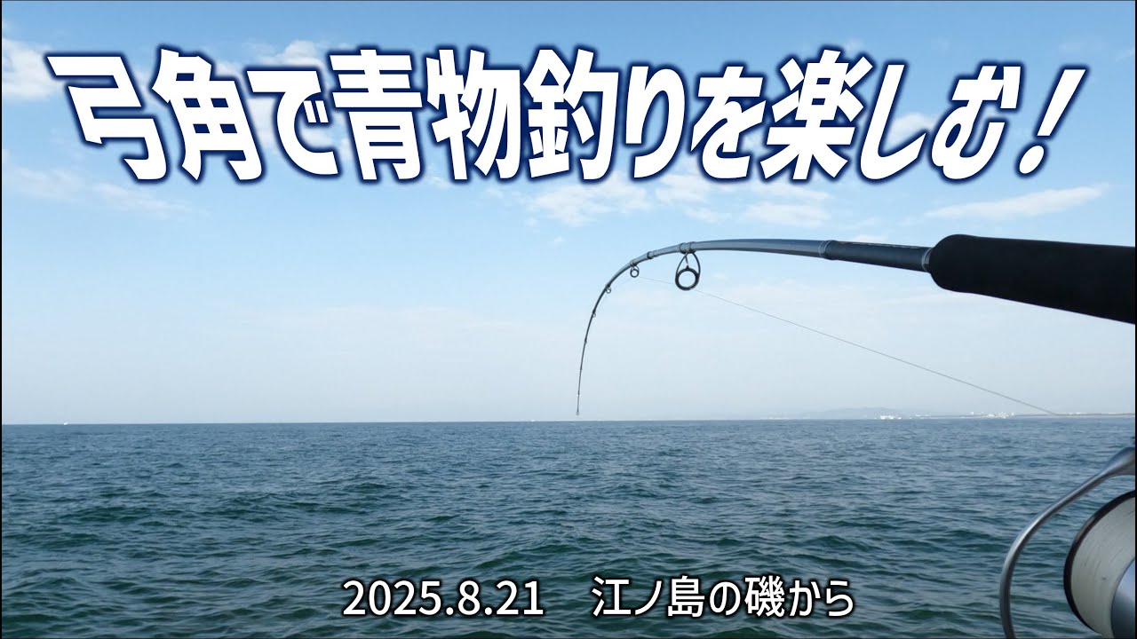 弓角で青物釣りを楽しむ！ 江ノ島の磯から 20250821