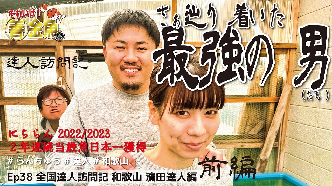 【重大告白】偉業！全国大会 当歳二連覇。実は別人だった・・・！？前編　#善金魚ちゃんねる#金魚 #goldfish #らんちゅう