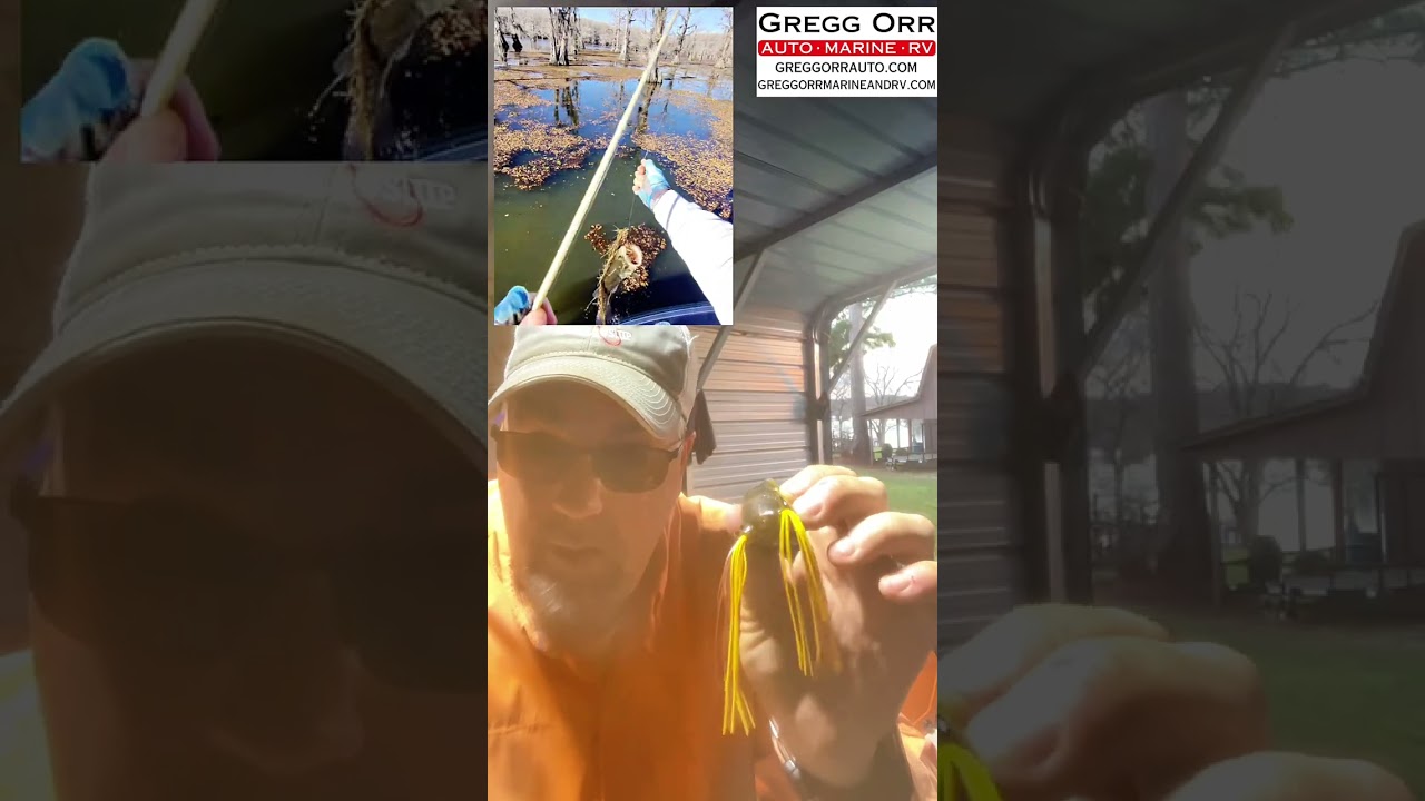 Catching up with Caddo #41