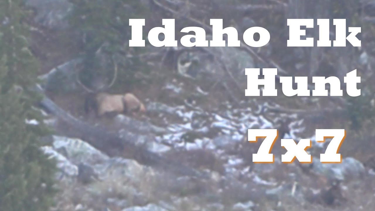 7x7 Idaho Backcountry Elk Hunt | rr1hunt