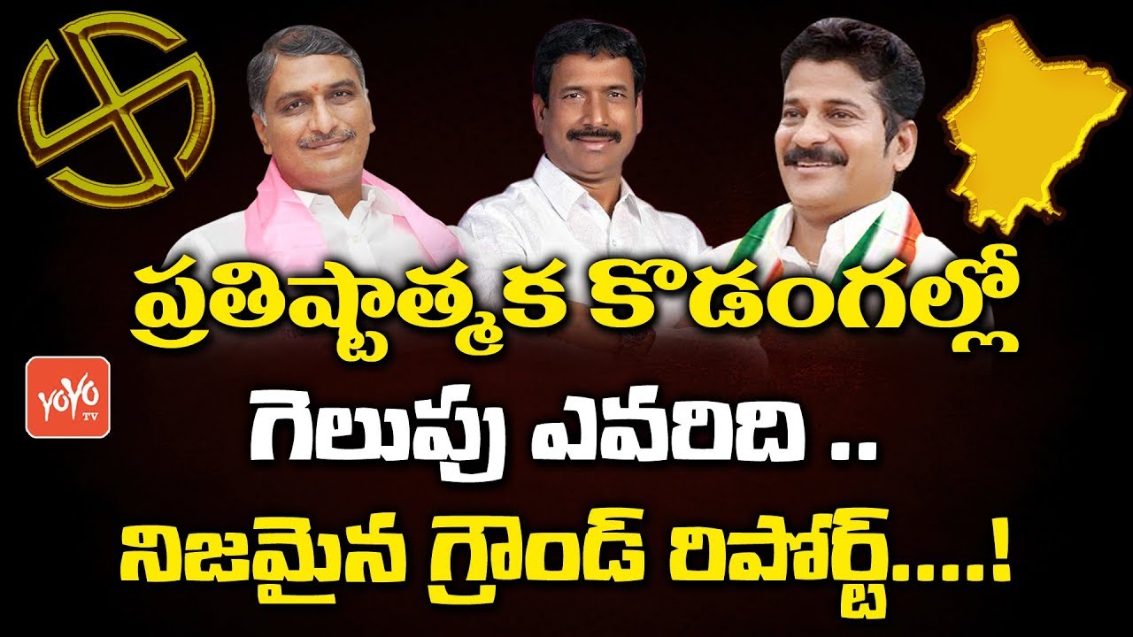 Kodangal Constituency Ground Report | Revanth Reddy Vs Patnam Narender Reddy | Harish Rao | YOYO TV