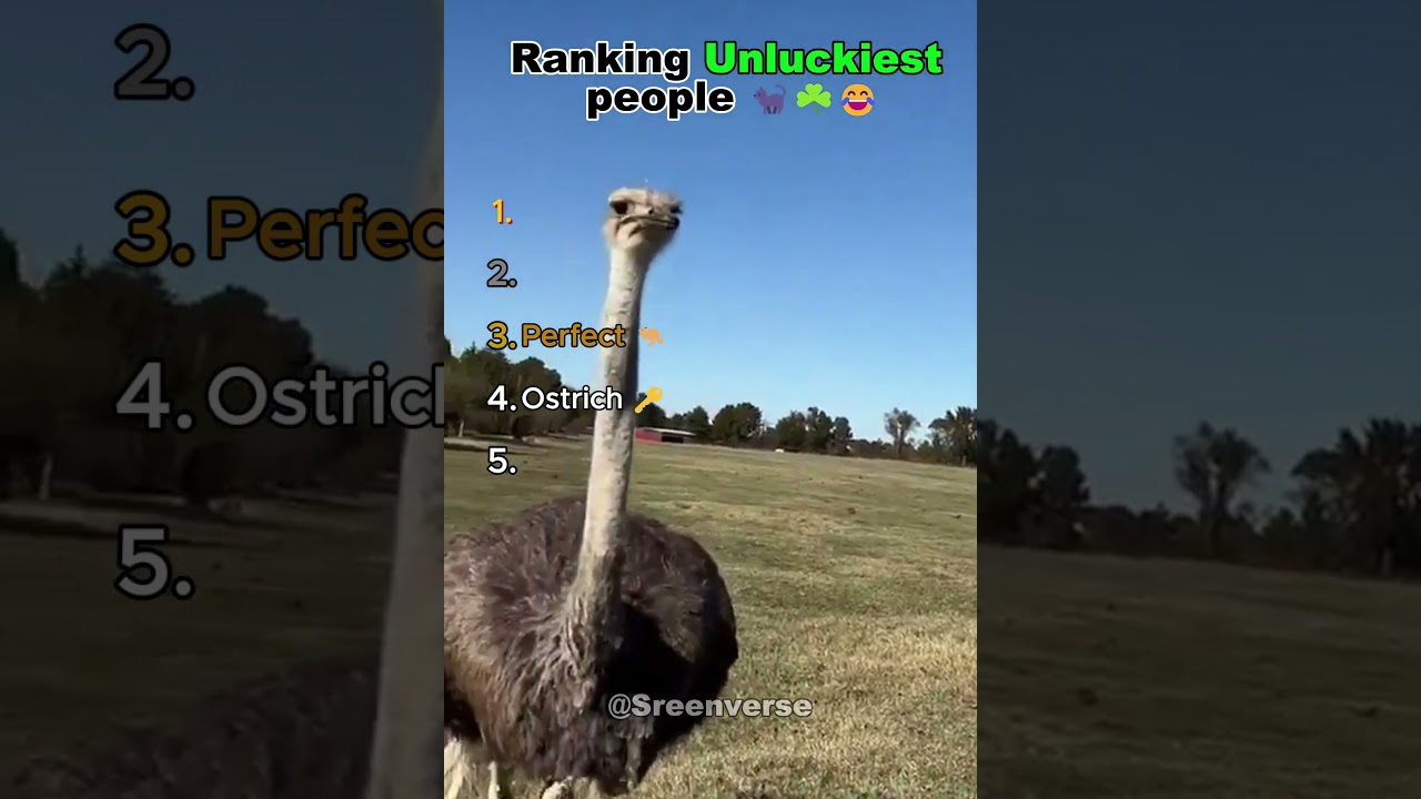 Ranking Unluckiest people 🐈&zwj;⬛☘️😂