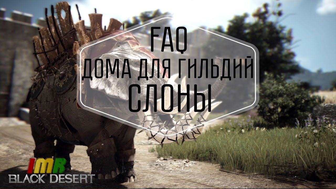 Black Desert - FAQ: Слоны и дома для гильдий. IMRastafari