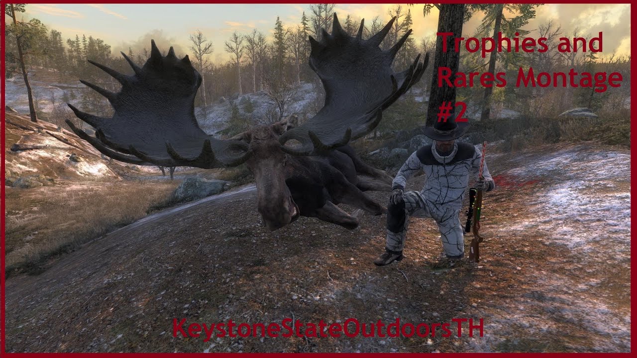 Rares and Trophies Montage #2 (theHunter Classic)