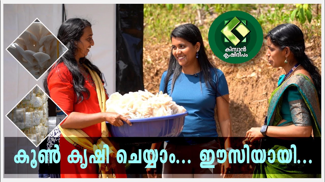 Kissan Krishideepam Episode-1092 Mushroom farming made easy…