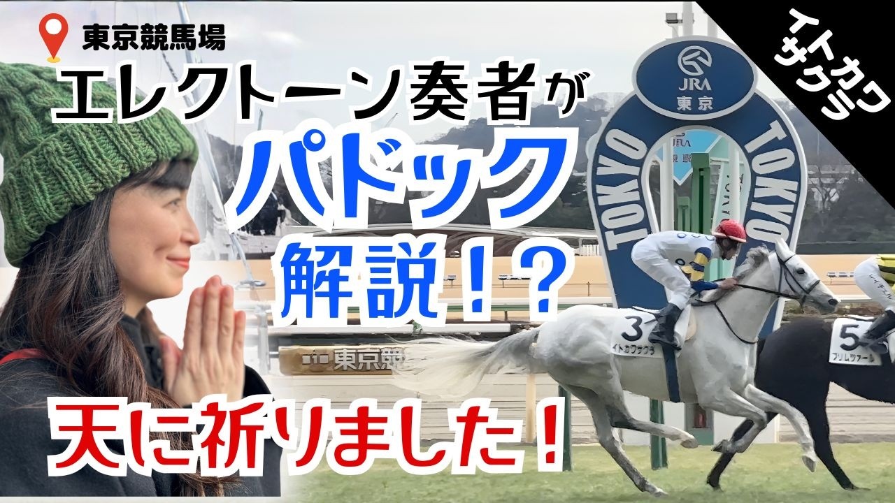 【音楽家がパドック解説⁉︎】ゴールドシップ産駒「イトカワサクラ」の歩様はまるでメトロノーム｜東京競馬場
