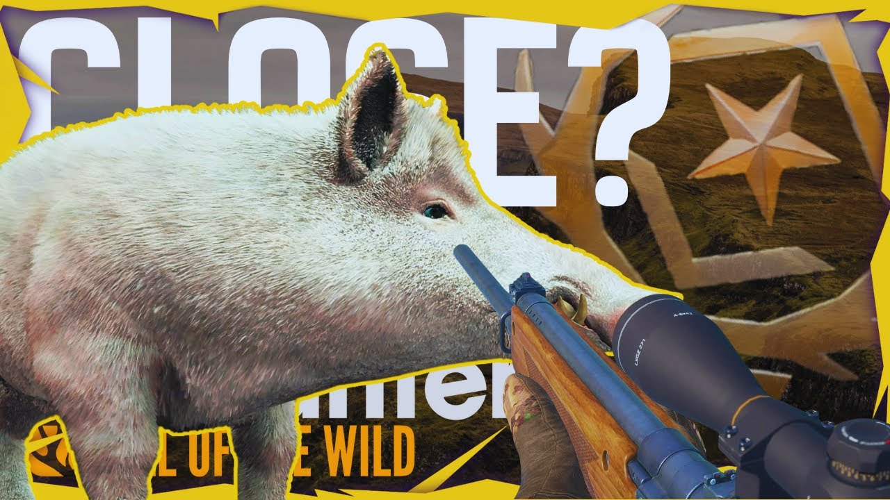 Another ALBINO on the Boar Grind! Are we Getting Close? | theHunter Call of the Wild
