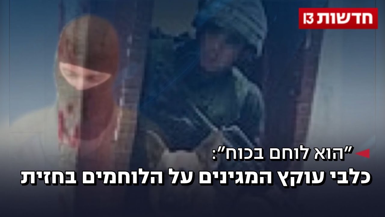 "הוא לוחם בכוח": כלבי עוקץ המגינים על הלוחמים בצפון ובדרום