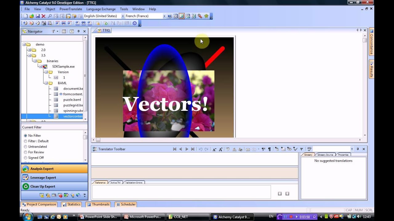 Translating .NET applications with Alchemy CATALYST