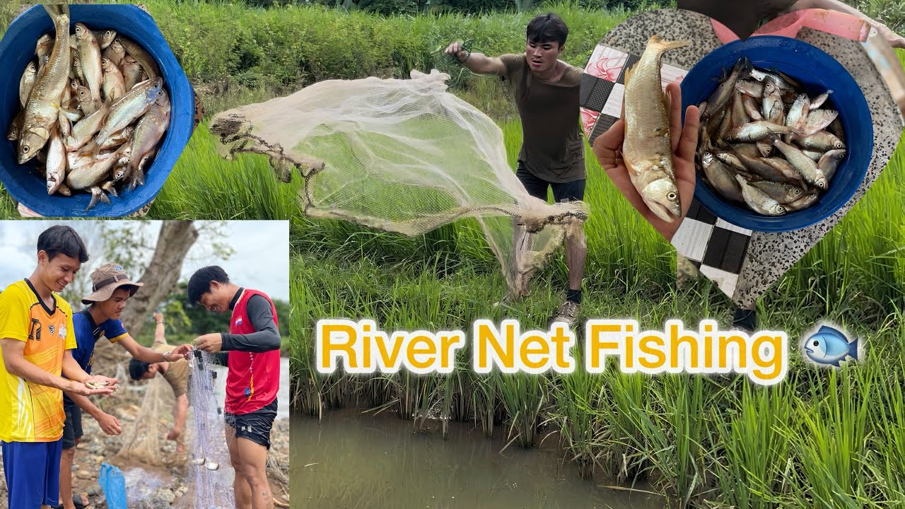 An Amazing Net Fishing Day 🐟 ( 2025 ) 