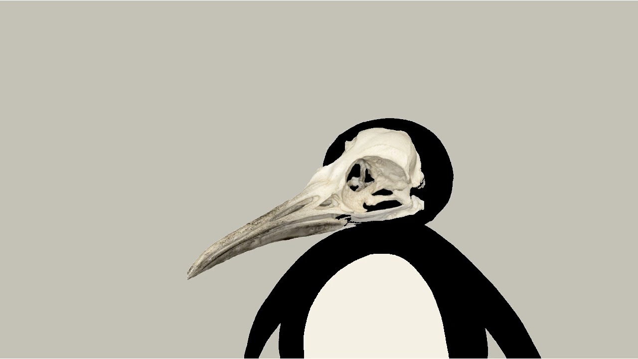 Noot Noot Pingu Becoming Uncanny Extended