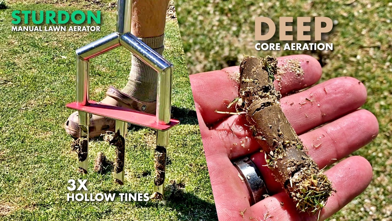 Core Aeration Results using Sturdon Manual Lawn Aerator