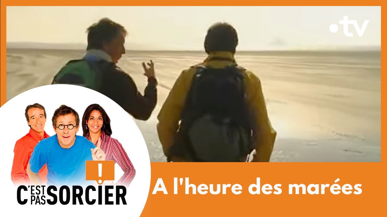 A l'heure des mar&eacute;es - C'est pas sorcier [Int&eacute;grale]