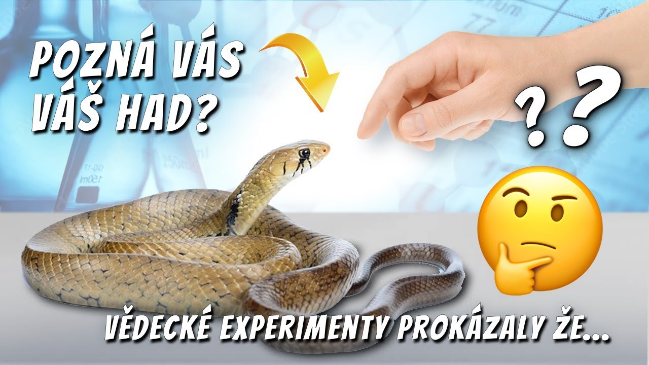 Pozná had svého majitele ?