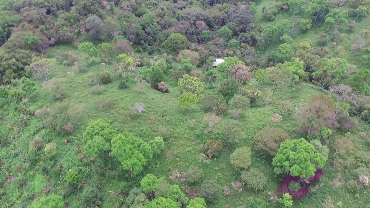 Finca en venta