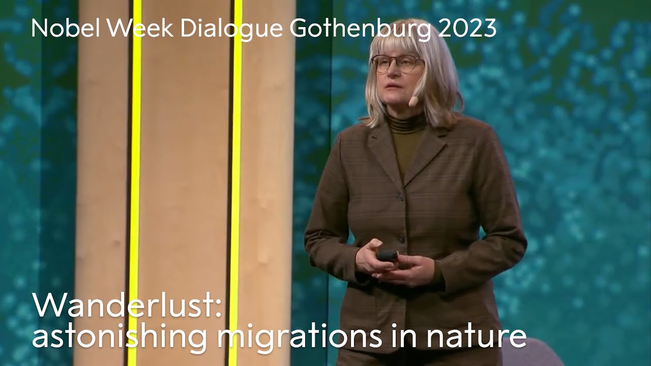 Wanderlust: Astonishing migrations in nature | Nobel Week Dialogue 2023 | The Future of Migration