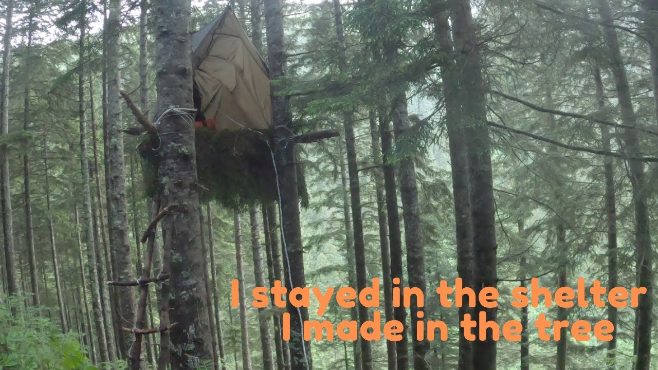 BUSHRAFT CAMP ON THE TREE/ Unique nature, Rain, Foggy, Sunset, The Wild Nature Solo Bushcraft Camp