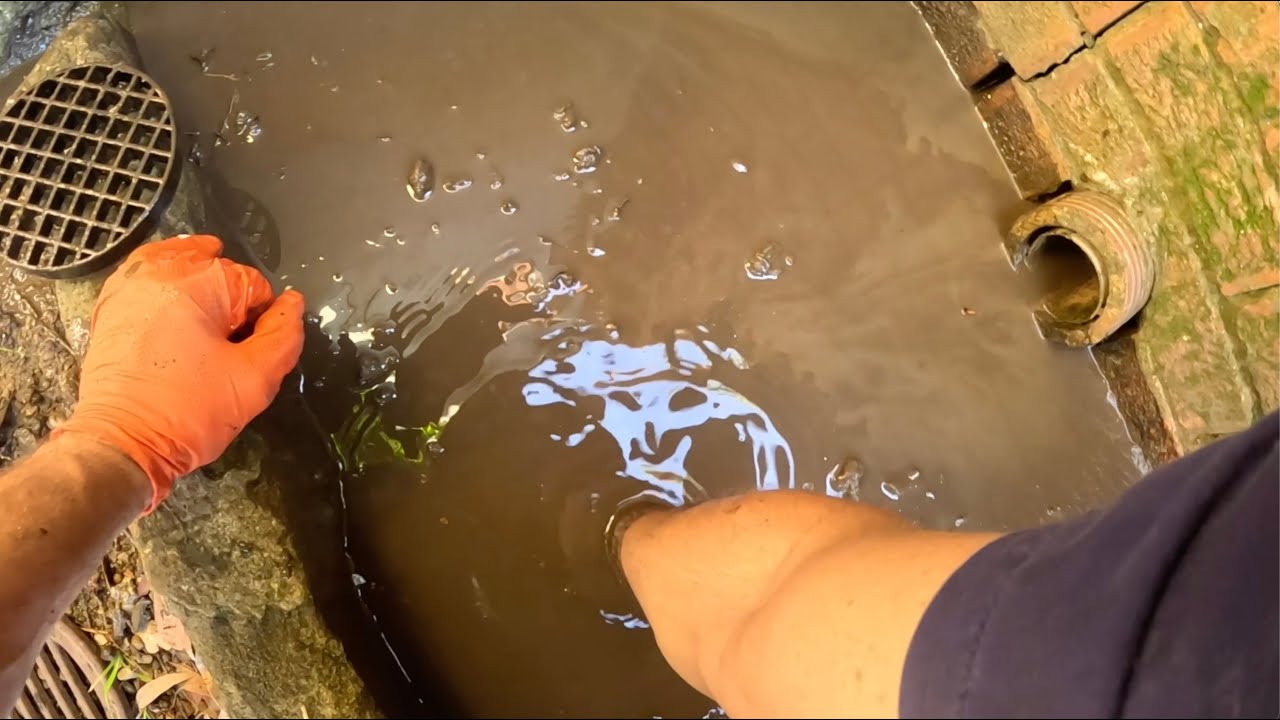 Drain Cleaning - Uncut # 27 👍