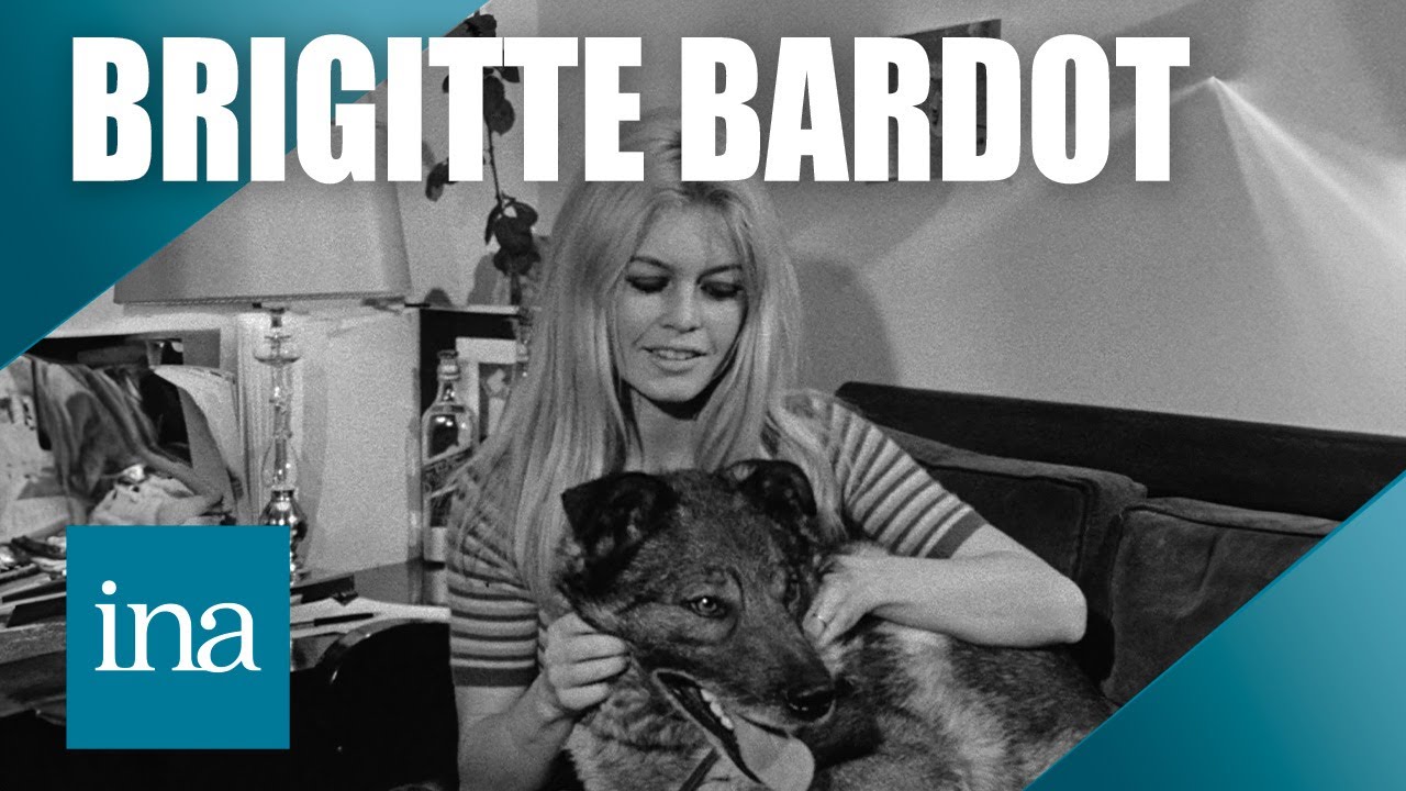 🐕 Quand Brigitte Bardot se bat pour les animaux : un combat choc contre l’abandon 🐾 | INA Stars