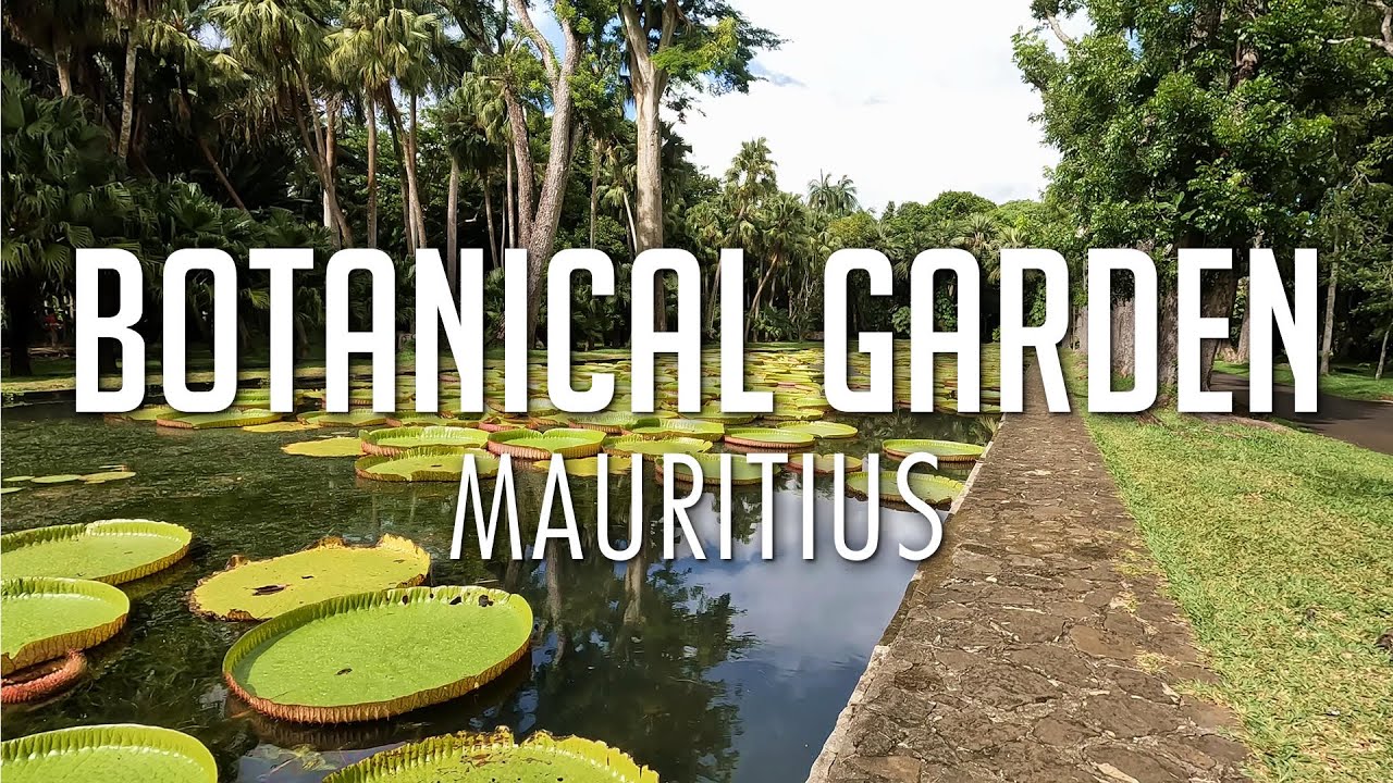 Mauritius, Botanical Garden: Sir Seewoosagur Ramgoolam Botanical Garden