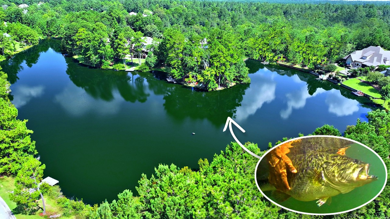 Catching the First 10lb Bass in the Backyard Pond!!