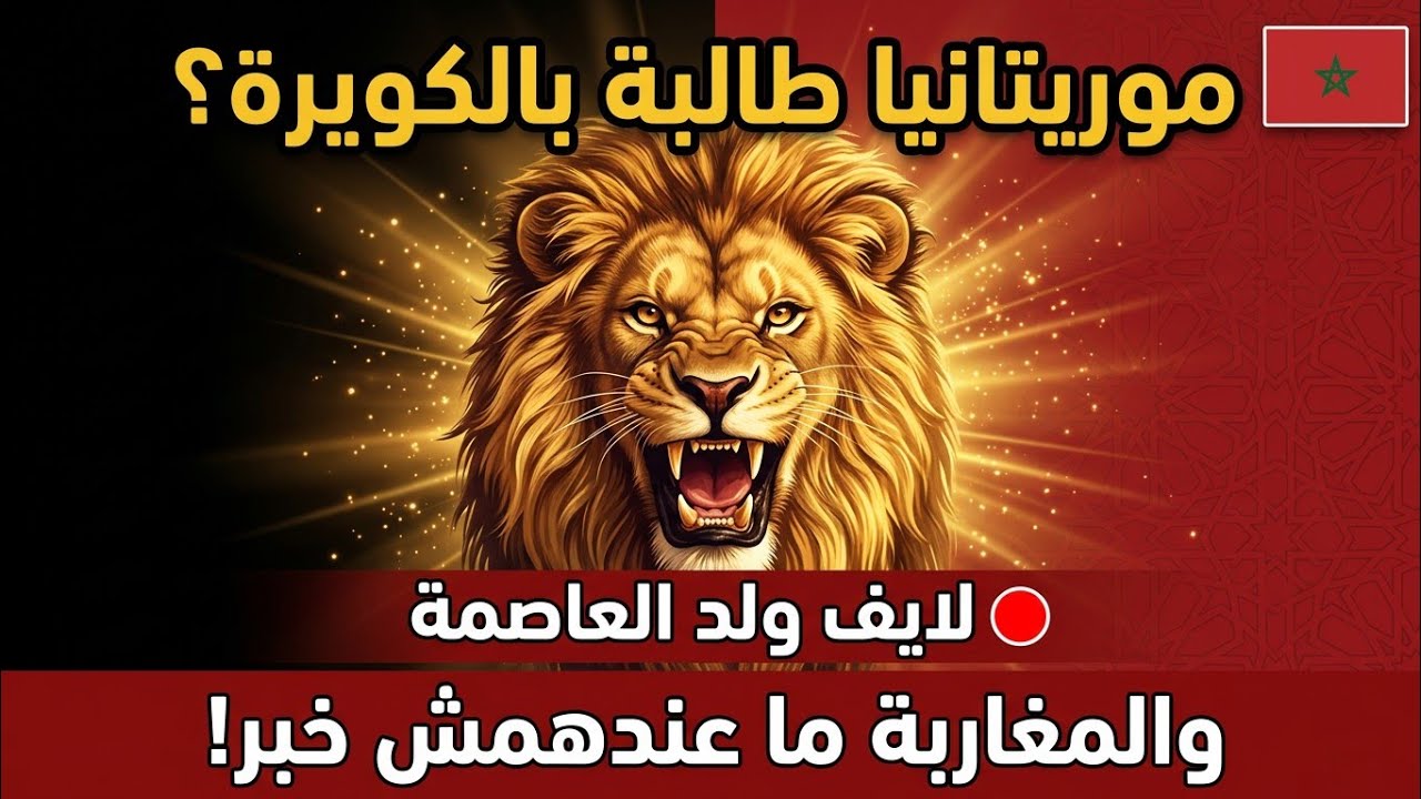 مباشر 🔴 لايف ولد العاصمة - موريتانيا طالبة بالكويرة 😱 والمغاربة ما عندهمش خبر؟ 🇲🇦