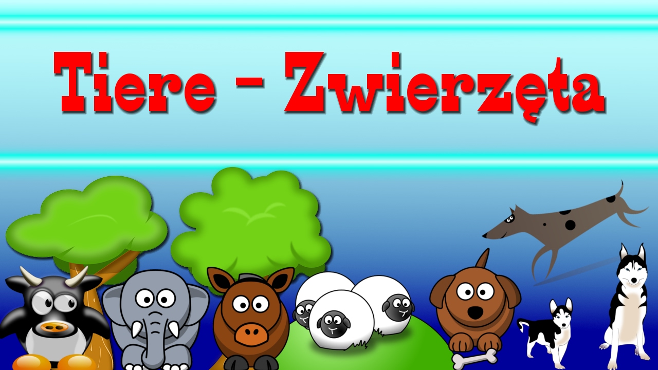 Tiere auf Polnisch