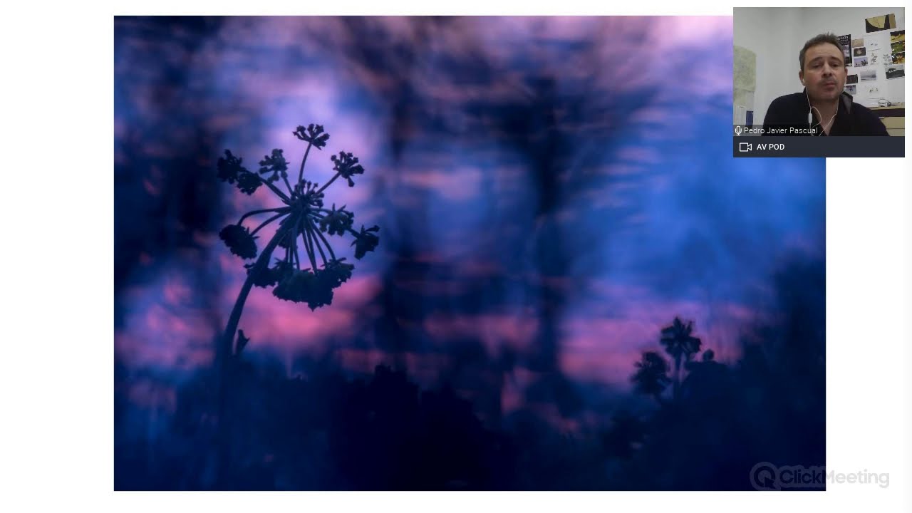 Pedro Javier Pascual – La fotografía creativa de aproximación en la naturaleza