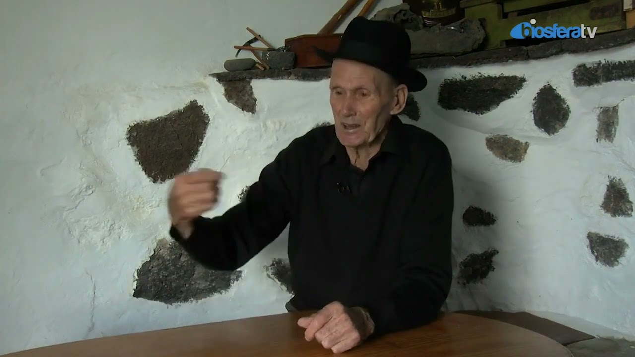 Cultivo de la batata - Francisco de León -  Mozaga ( Lanzarote)