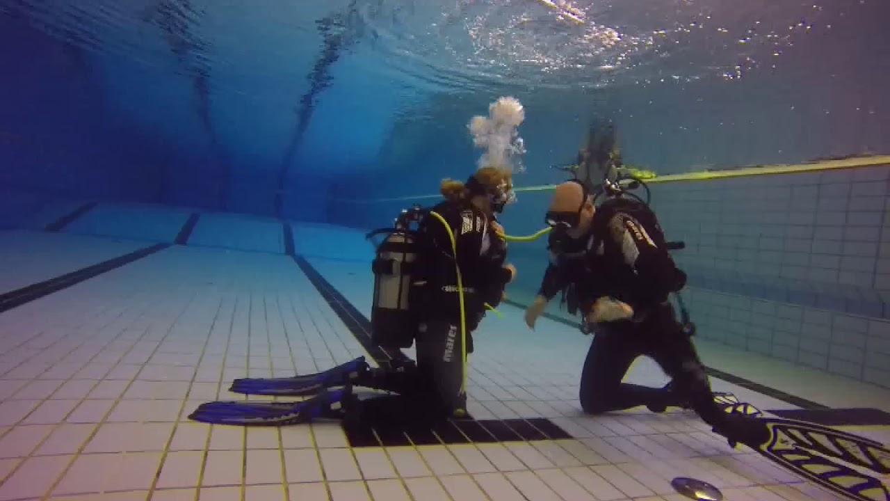 Divemaster Stress Test 2019