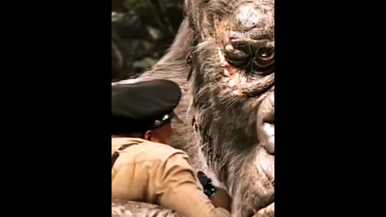 💥#King# 💥#Kong #💥#very#💫 💫#danger# 💥#scene#💥👍🙏