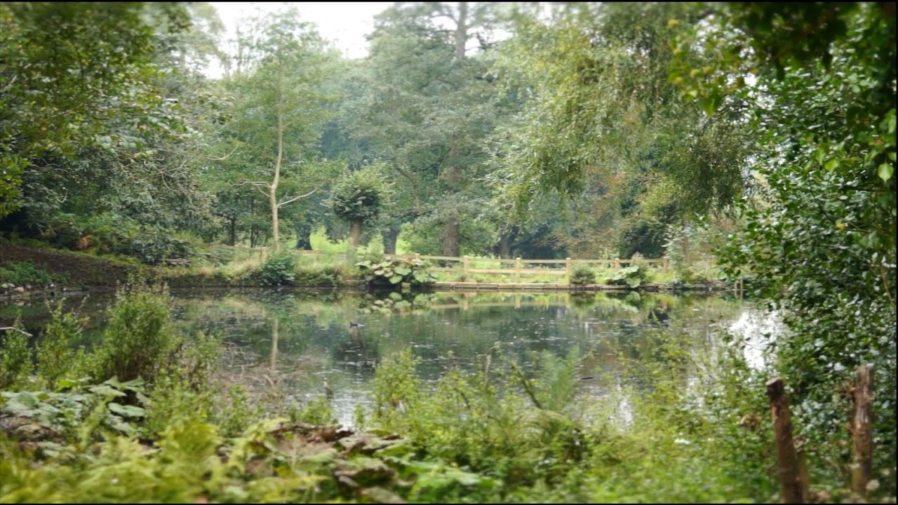 Holywells  - A Park for People