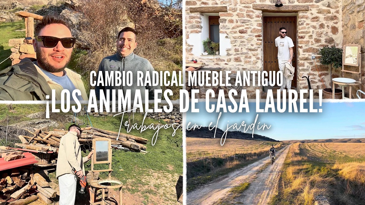 RESCATAMOS UN TESORO 😍 MIRAD LOS ANIMALES QUE NOS VISITAN! 🏡 TRABAJOS DE JARDÍN 🌿VLOG CASA 200 AÑOS